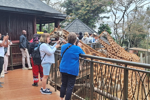 Tour della città di Nairobi e tour guidato del Centro delle GiraffeTour della città di Nairobi e tour guidato del Giraffe Centre