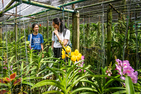 Mercato galleggiante di Bangkok e giro in barca verso una fattoria di orchidee