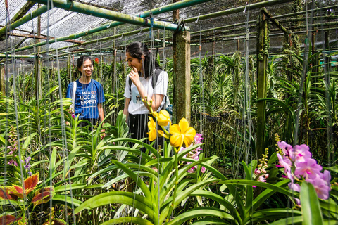 Mercato galleggiante di Bangkok e giro in barca verso una fattoria di orchidee