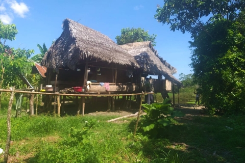 Iquitos: Jungle Tour op boot, Itaya-rivier