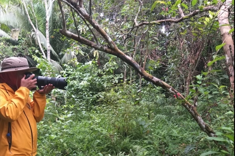 Iquitos: Wycieczka po dżungli łodzią po rzece Itaya