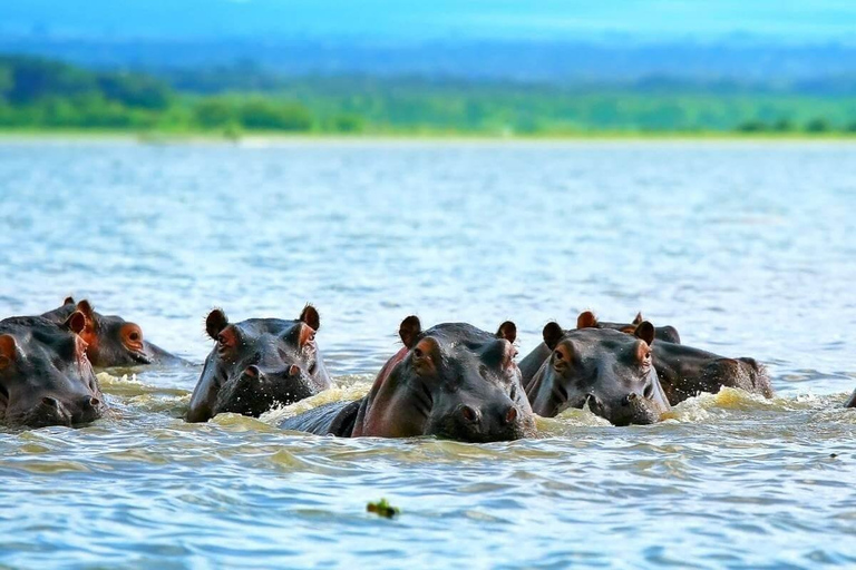 Excursion d'une journée dans le parc national de Hells Gate et promenade en bateau sur le lac Naivasha