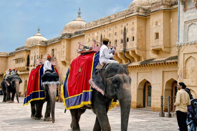 Delhi Agra Jaipur Jodhpur Pushkar Tour 7 Días