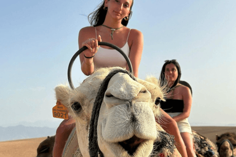 From Marrakech: Camel Ride at Sunset Time in Agafay desertFrom Marrakech: Camel in Agafay desert