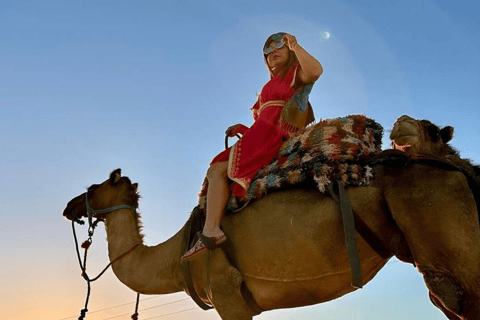 From Marrakech: Camel in Agafay desert