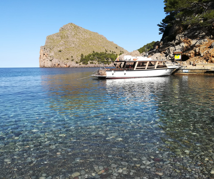 From Sóller: Boat Trip to Sa Foradada with Drink