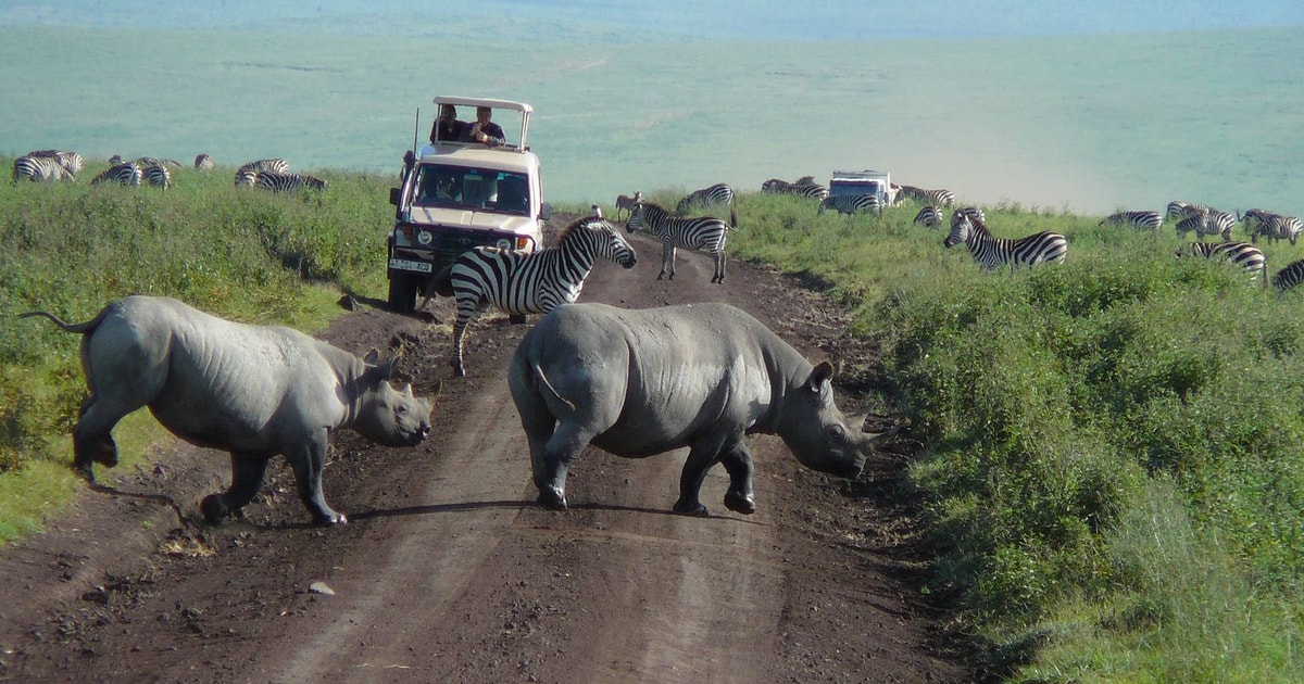 tanzania safari quanti giorni