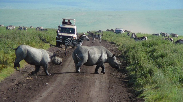 Visit 8 Days Signature Tanzania Safari in Serengeti