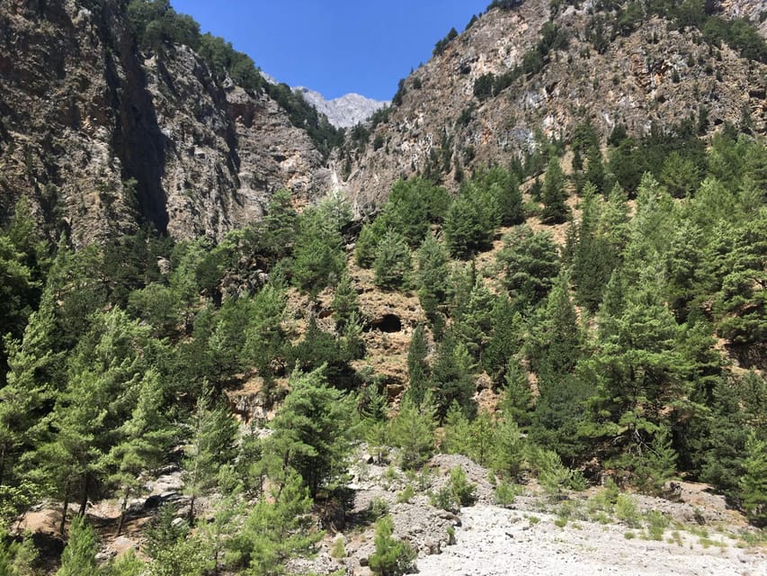 Chania to Imbros Gorge Private Full Day Transfer - Housity