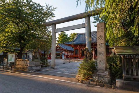 Tokyo: Asakusa Heritage Walk, Skytree & Sumida with Lunch