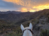 Mendoza, Sunset Horse Back Riding in the Mountains and BBQ - Housity