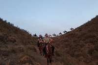 Mendoza, Sunset Horse Back Riding in the Mountains and BBQ - Housity