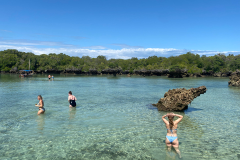 Zanzibar: Exploring the Blue Safari Sea Adventure