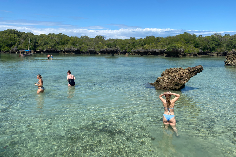 Zanzibar: Exploring the Blue Safari Sea Adventure