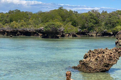 Zanzibar: Exploring the Blue Safari Sea Adventure