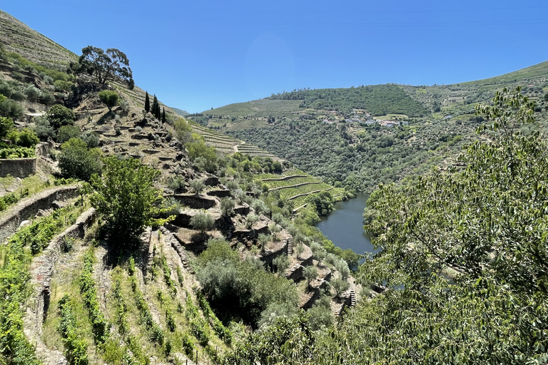 Douro Valley Tour: 2 Wineries and Boat trip