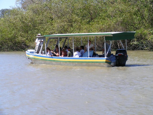 Visit Guanacaste Palo Verde National Park Jungle River Cruise in Playa del Coco