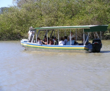 Guanacaste: Palo Verde National Park Jungle River Cruise
