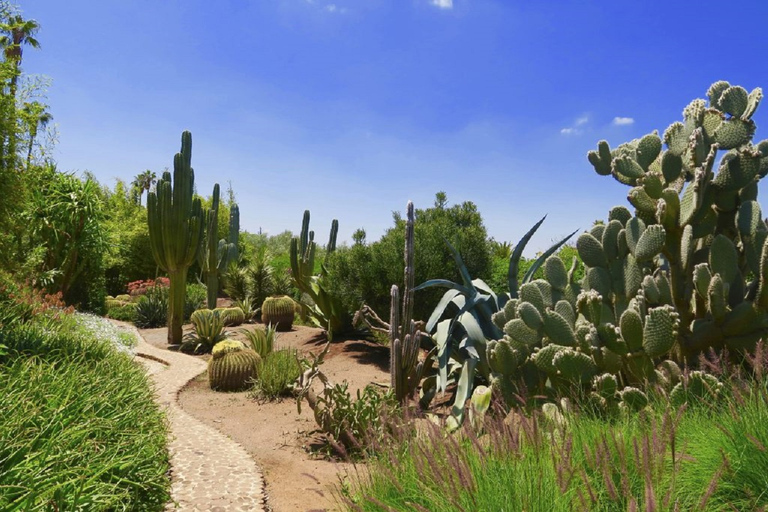 Jardim Anima e passeio de camelo de meio dia saindo de Marrakech