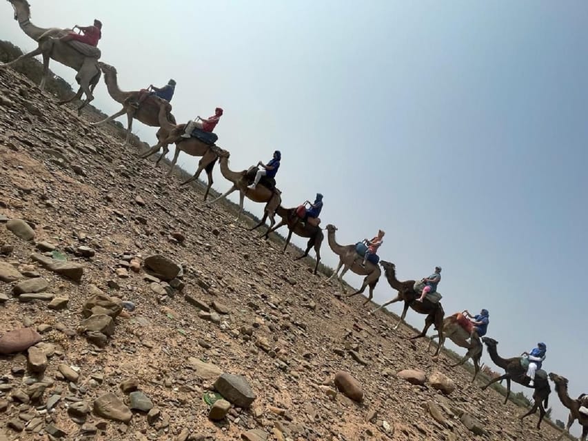 Anima Garden And Camel ride Half Day Tour From Marrakech | GetYourGuide