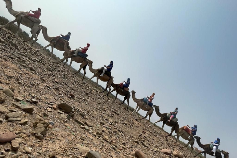 Anima Garten und Kamelritt Halbtagestour von Marrakesch