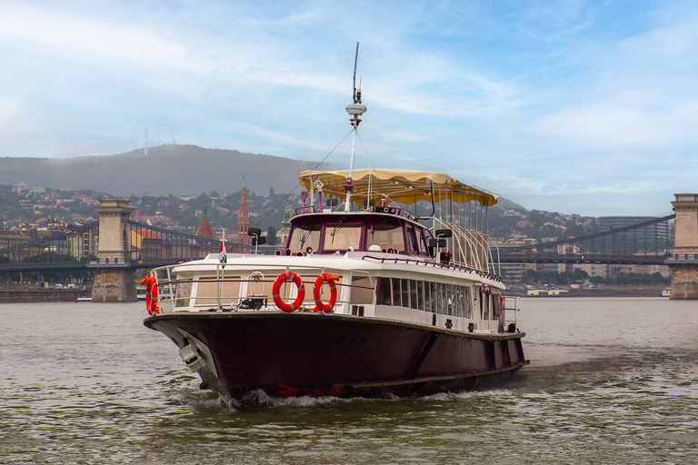 Budapest: Skyline Sightseeing Cruise with Parliament View1-Hour Nighttime Cruise