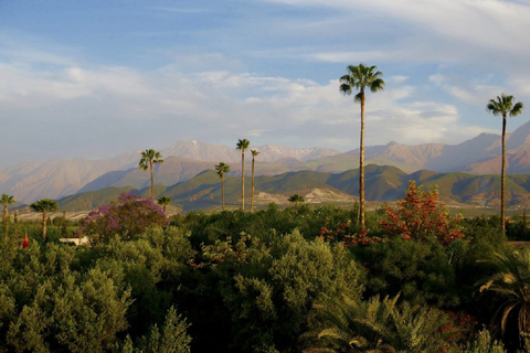 Anima Garten und Kamelritt Halbtagestour von Marrakesch