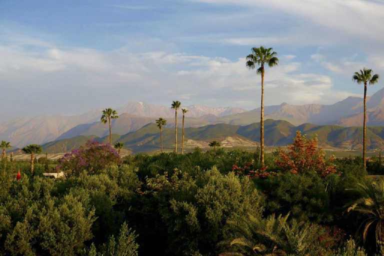 Jardim Anima e passeio de camelo de meio dia saindo de Marrakech