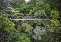 Guanacaste, Arenal Volcano Nature and Hot Springs Tour - Housity