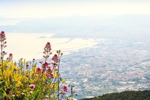 From Pompeii: Mt. Vesuvius Hike & Tour by Bus