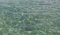 在美丽的海滩上游泳和放松 - Hizvo