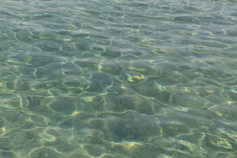 Thessalonique : La plage de Chalcidique et la baignade