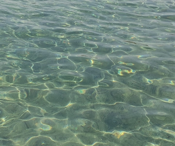 Thessaloniki: Halkidiki Beach-Hopping with Swimming