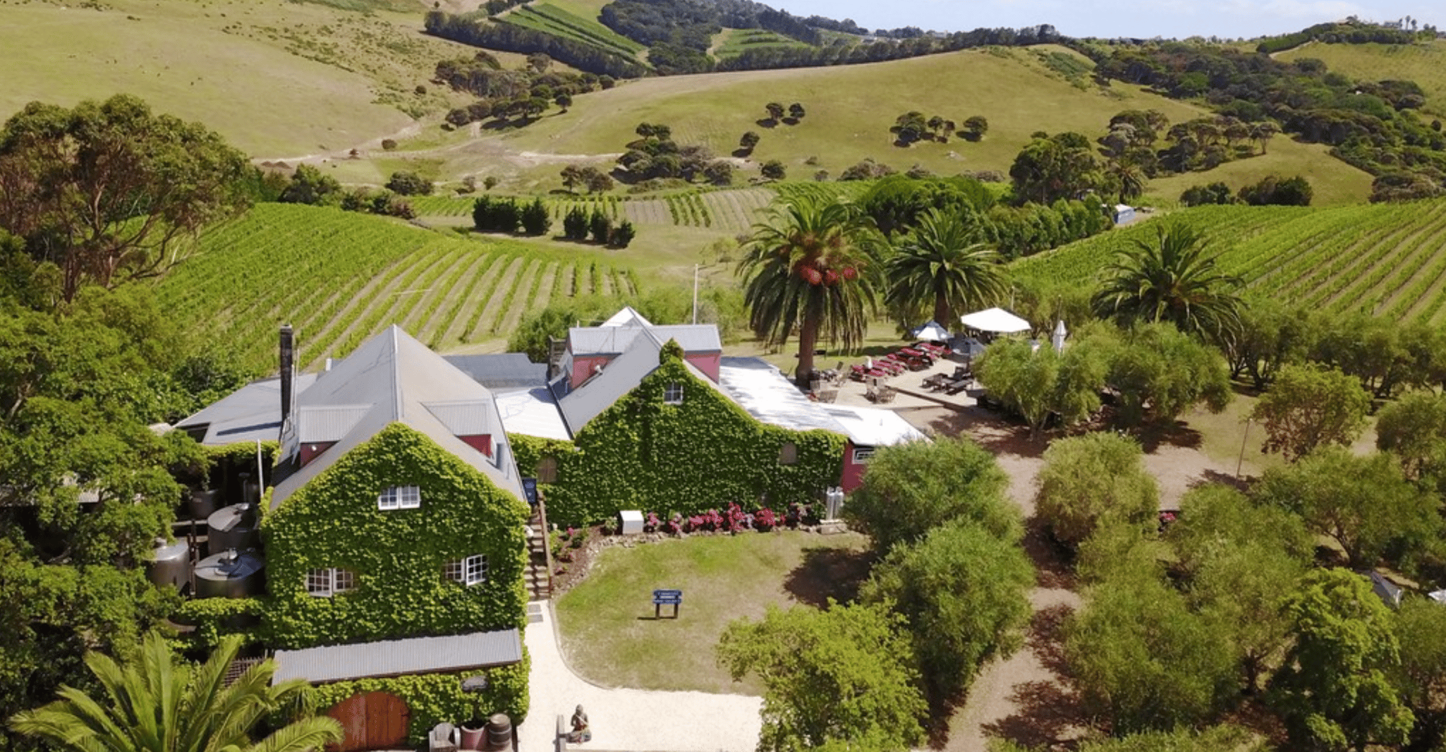 Waiheke Island, tour met wijnproeverijen en restaurantlunch - Housity