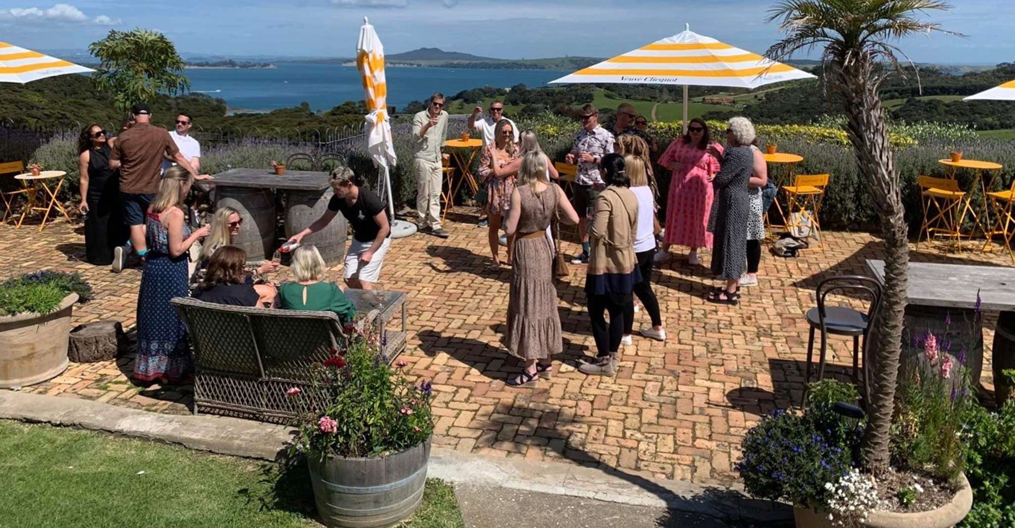 Waiheke Island, tour met wijnproeverijen en restaurantlunch - Housity