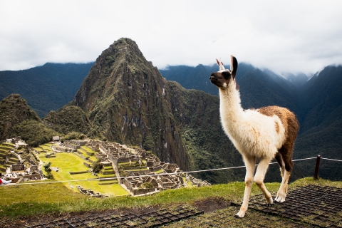 Z Cusco: Wycieczka po mieście Cusco i Machu Picchu 3-dniowa wycieczka
