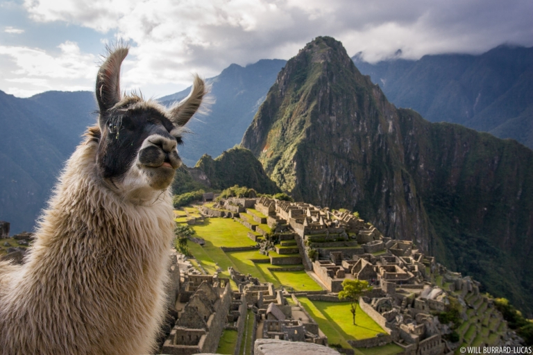 Desde Cusco: City tour Cusco y Machu Picchu Tour de 3 días
