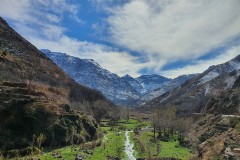 Marrakech: Agafay Desert, Atlas mountains & Waterfalls Tour Day Trip to Atlas Mountains & Agafay Desert With Lunch