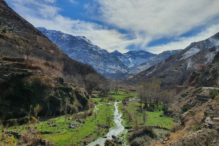 Marrakech: Agafay Desert, Atlas mountains & Waterfalls Tour Day Trip to Atlas Mountains & Agafay Desert With Lunch