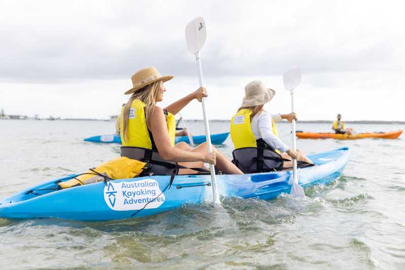 Gold Coast: Kayaking and Snorkeling Guided Tour