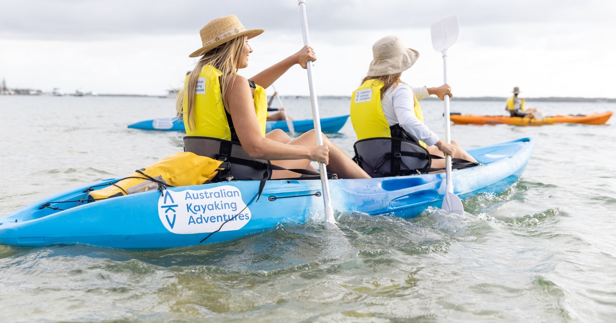 Gold Coast tour guidato in kayak e snorkeling GetYourGuide
