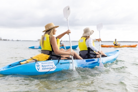 Depuis la Gold Coast : Excursion en kayak et plongée en apnée pour les dauphinsExcursion en kayak et plongée en apnée sur la Gold Coast