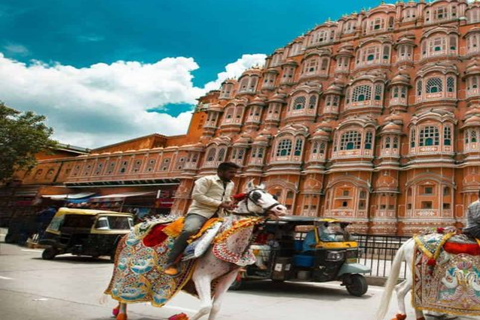 From Delhi : Private Jaipur City Guided Tour With Transfer Tour Without Lunch & Entry Fee