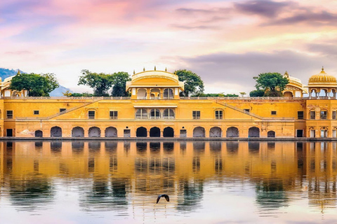 Depuis Delhi : Visite guidée privée de la ville de Jaipur avec transfertVisite sans déjeuner ni droit d'entrée