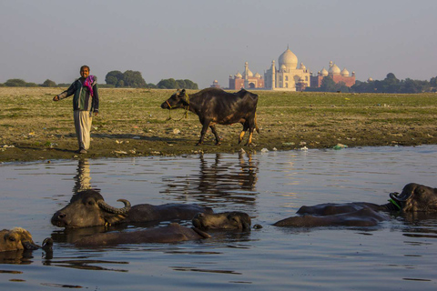 From Delhi: Taj Mahal, Agra Fort Day Tour with Transfers Tour with AC Car, Driver, Guide, Entrance and Lunch