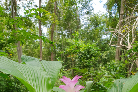 Koh Ker, Beng Mealea und das schwimmende Dorf.