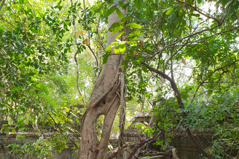 Koh Ker, Beng Mealea und das schwimmende Dorf.