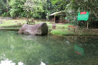 Gunung Gading National Park Tour Kuching Sarawak - Hizvo