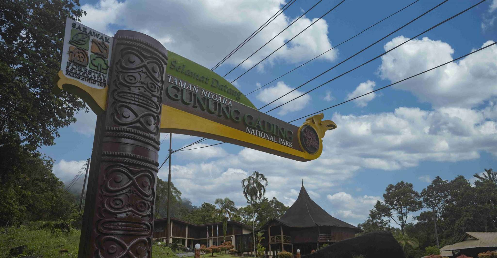 Gunung Gading National Park Tour Kuching Sarawak - Hizvo