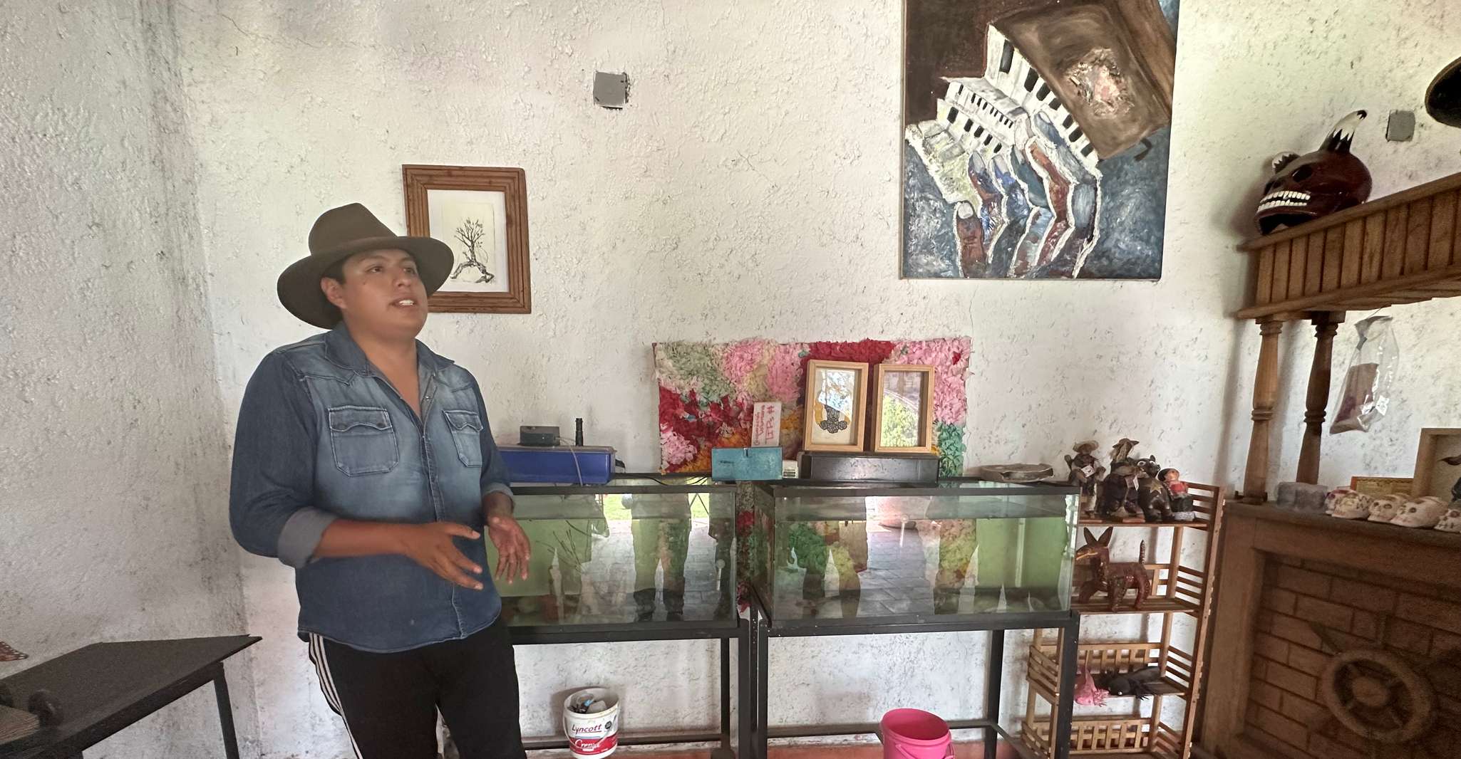 Xochimilco, Giro in barca con il Santuario Ambystoma Mexicanum - Hizvo
